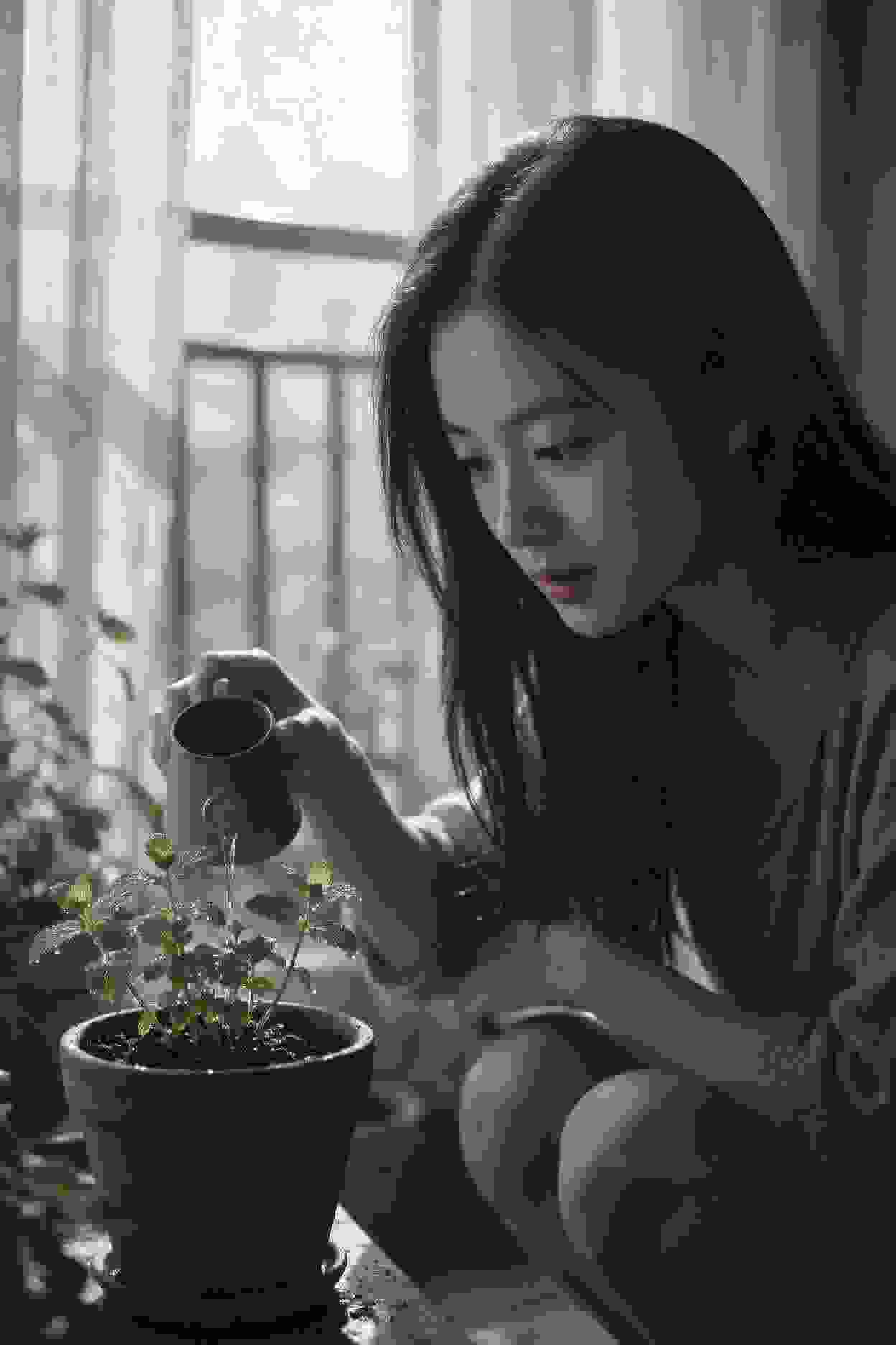 婆媳的战争